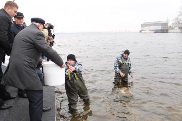 Денис Беляев, Г. С. Полтавченко и В. С. Макаров выпускают первую партию мальков в воды Финского залива