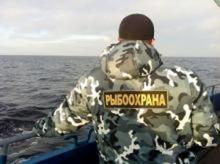 За неделю псковские инспекторы рыбоохраны изъяли 100 кг водных биоресурсов За неделю псковские инспекторы рыбоохраны изъяли 100 кг водных биоресурсов