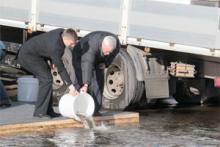 В Финский залив вновь выпустили молодь сига В Финский залив вновь выпустили молодь сига