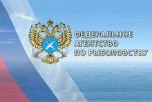 Итоги «рыбного» года рассмотрят на коллегии ФАР Итоги «рыбного» года рассмотрят на коллегии ФАР