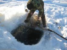 На Рыбинском водохранилище конфисковали браконьерские сети
На Рыбинском водохранилище конфисковали браконьерские сети