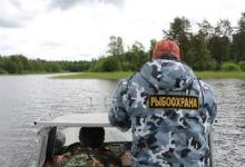 Осенний нерест: на водоёмах Северо-Запада вступают в силу запреты на вылов рыбы