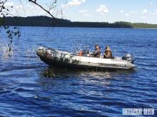 Свыше 3,6 млн личинок щуки выпущено в водоемы на стыке Городокского и Невельского районов