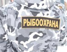 14,5 кг рыбы изъяли инспекторы рыбоохраны у псковских рыбаков на минувшей неделе 14,5 кг рыбы изъяли инспекторы рыбоохраны у псковских рыбаков на минувшей неделе