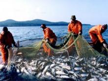 Российские суда увеличивают вылов в зарубежных водах Российские суда увеличивают вылов в зарубежных водах