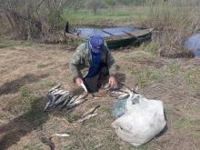 В Псковской области инспекторы рыбоохраны зафиксировали ущерб почти на 100 000 рублей