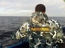 За неделю у браконьеров на псковских водоёмах изъяли более 15 кг незаконно выловленной рыбы