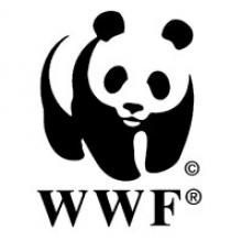 WWF призвало участников Съезда рыбаков для защиты шельфа