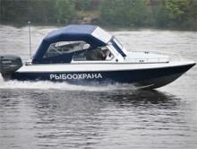 Специалисты рыбоохраны усилили контроль за реками и озерами