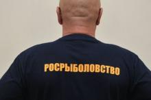 16 нарушений выявлено сотрудниками рыбоохраны в Псковской области за прошедшую неделю